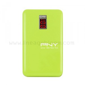 PNY Power Bank CL51